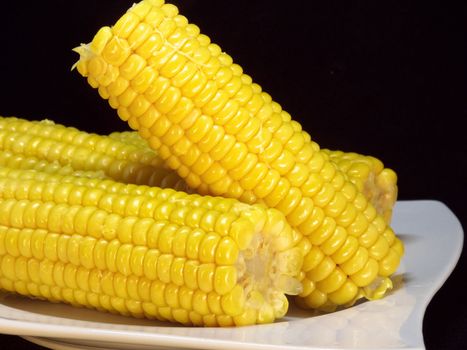 White plate on the 3 husked corn on the cob are