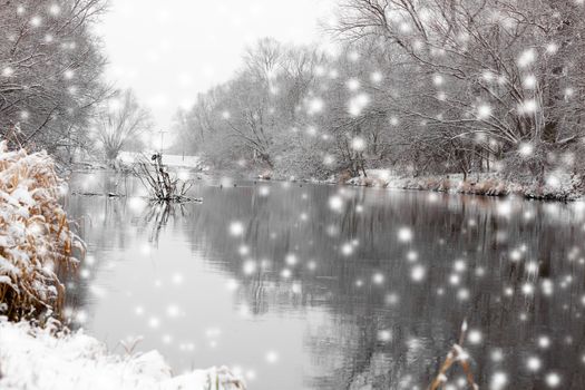 small river in winter, with trees