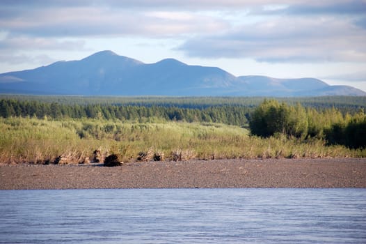 Mountain and taiga at Kolyma river Russia outback, Magadan and Yakutia region