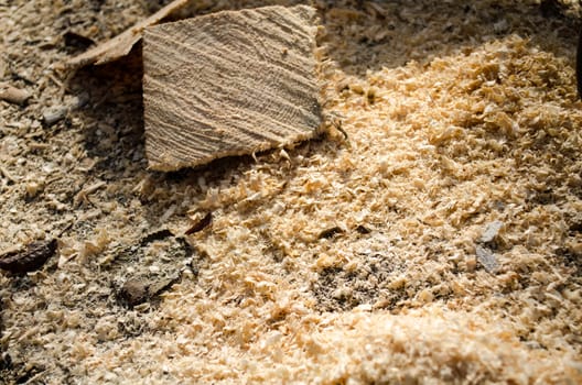 Close up of wooden sawdust