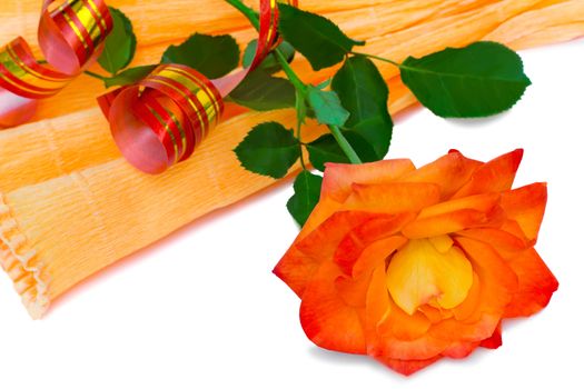 Big beautiful red rose leafs. Presented on a white background.