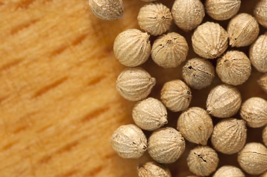 Dried coriander seeds of wooden background close up