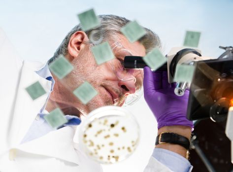 Focused senior life science professional routine screening the microscope slides in the cell laboratory. Lens focus on the researcher's face.