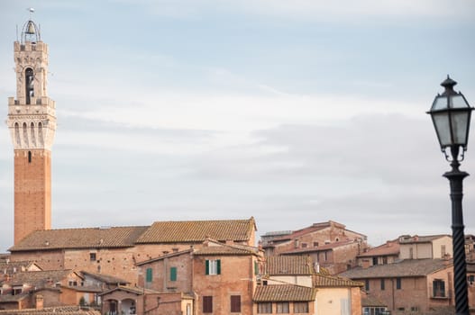 beautiful landscape of Siena with Tower of Mangia, Tuscany, Italy