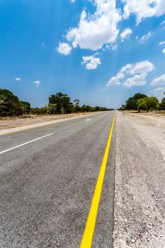 Endless road in Namibia, Caprivi Game Park, with blue sky