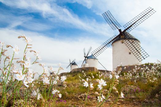 Vintage widnmills in the mainland of La Mancha, Consuegra, Spain.