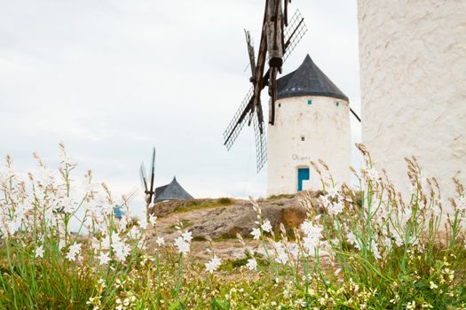 Vintage widnmills in the mainland of La Mancha, Consuegra, Spain.