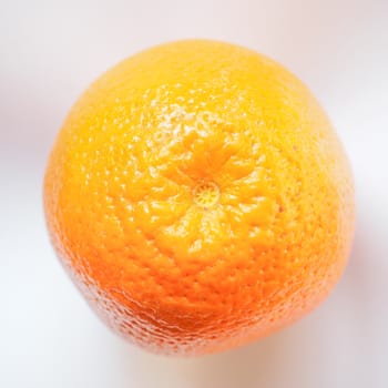 Sweet orange fruit of citrus sinensis