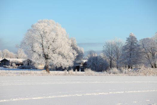 Winter landscape with frozen lake