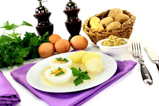 boiled eggs with mustard potatoes on bright background