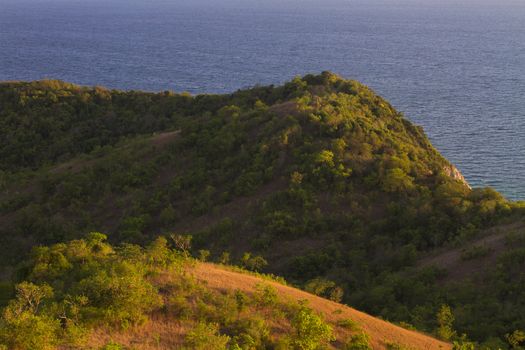 koh larn island tropical beach in pattaya city Thailand