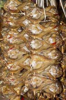 Fish products on display, the largest wholesale fish market. Vang Vieng, Laos