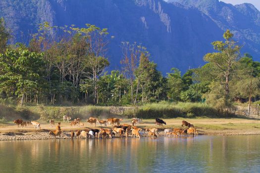 Rural landscape near Vang Vieng on Laos