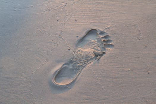 Photo shows a detail look of the step in the sand.