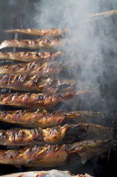 Fish products on display, the largest wholesale fish market. Vang Vieng, Laos