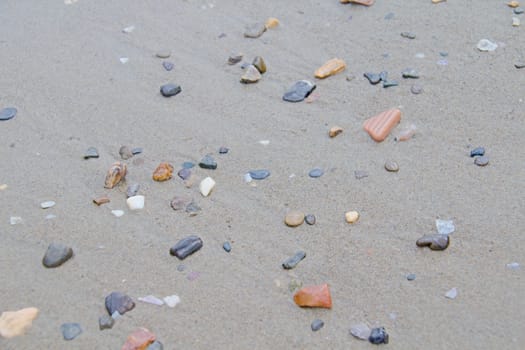 Photo shows a detail of the various stones on the sandy beach.