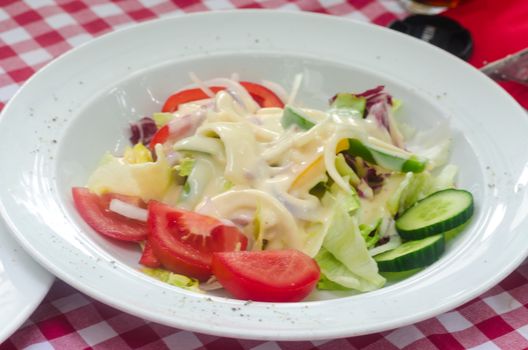 Fresh salad with tomatoes, cucumber, iceberg lettuce on a white plate.