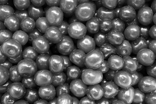 a lot of black and white friuts of berries of cherry