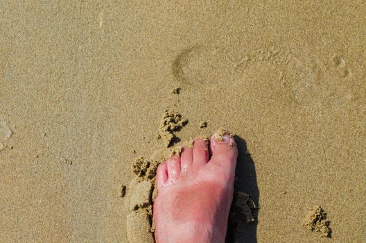 Top view of a human foot on the sandy beach,