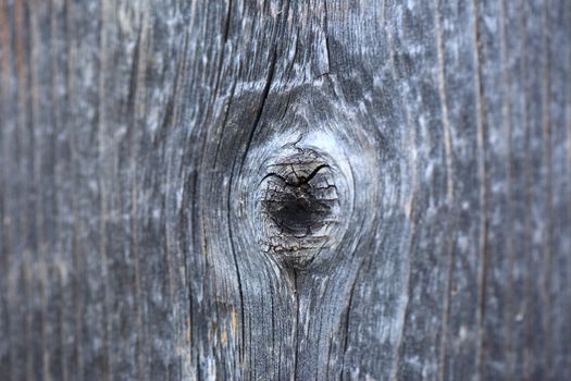 Wooden cracked textured material in toning
