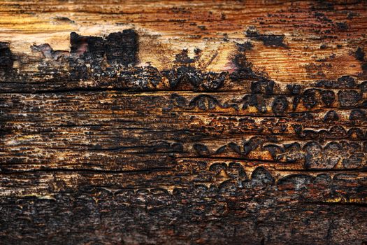 Wooden cracked textured material background