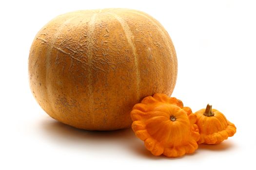 Yellow gourds on white background