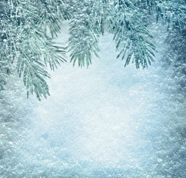 Christmas background with fir and snow