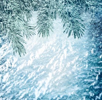 Christmas background with green fir