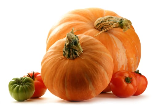 Pumpkins and tomatoes on white background