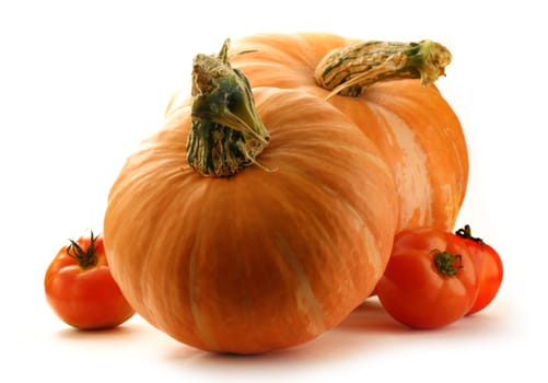 Pumpkins and tomatoes on white background