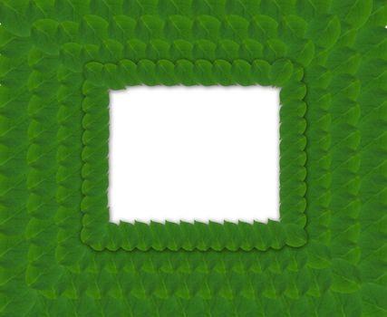 Pattern from green abstract square frame from leaves