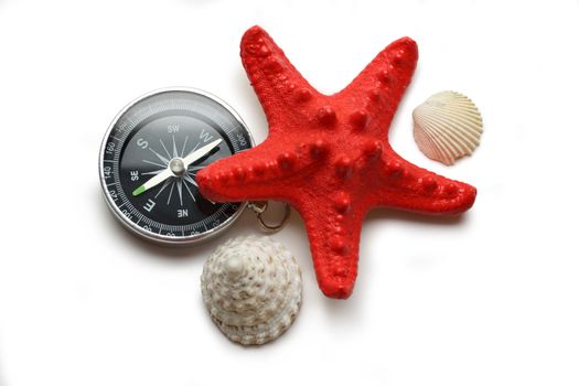 Compass, seastar and seashells on white