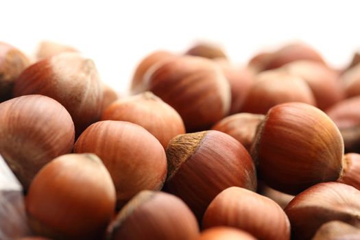 Fresh hazelnuts on white background