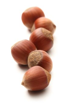 Fresh hazelnuts on white background