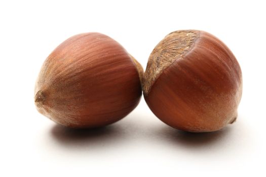 Fresh hazelnuts on white background