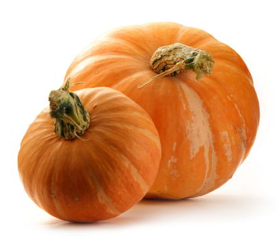 Pumpkins on the white background