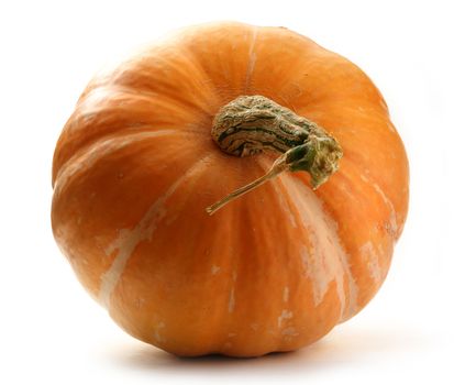 Pumpkin on the white background