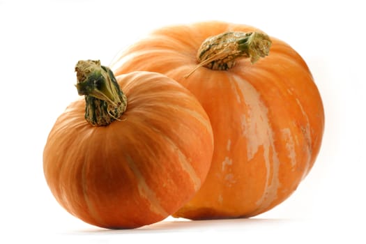 Pumpkins on the white background