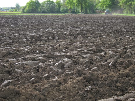 Ground before sown
