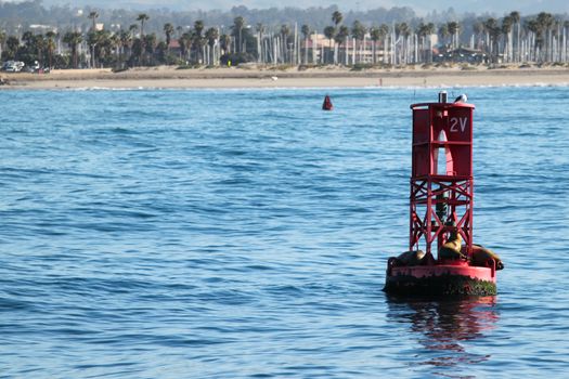 Red buoy with sea lions in front of the Ventura coast.