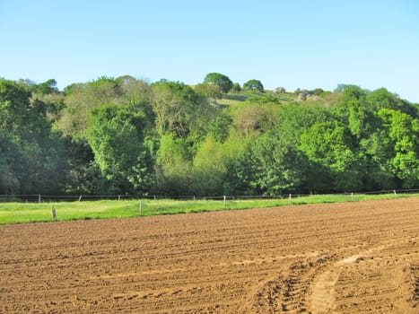 Ground before sown

