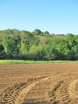 Ground before sown
