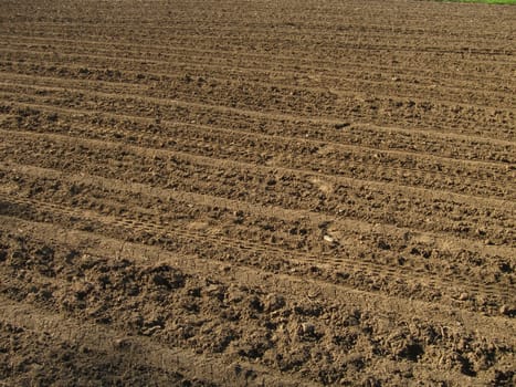 Ground before sown
