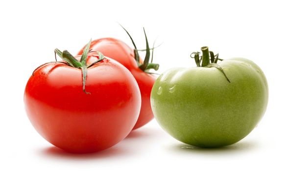 Red and green tomatoes on white background