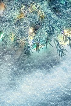 Christmas background with fir and snow