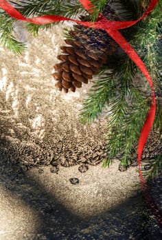 Christmas background with fir and cone