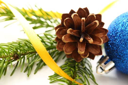 Twig of evergreen fir and cone