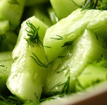 Green salad with cucumber and dill