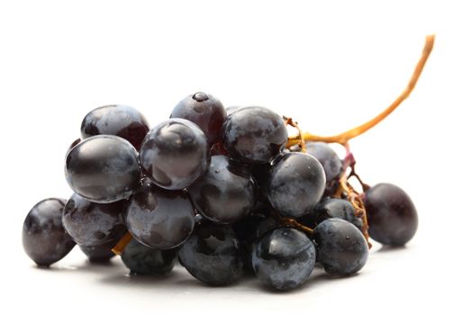 Black grape on the white background