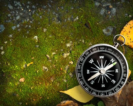 Compass on autumn foliage and moss ground